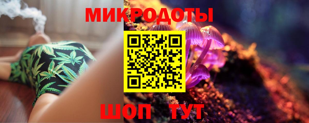 Псилоцибиновые грибы Psilocybine cubensis Мытищи